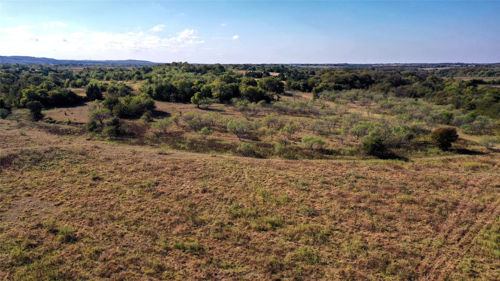 11.75 acres in Hill County - photo 6