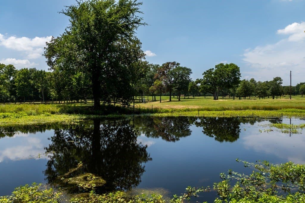 69 acres in Van Zandt County - photo 40