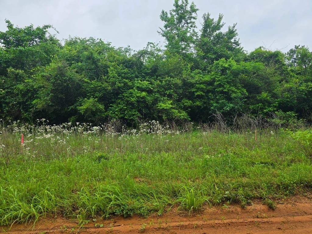 2.38 acres in Texas County gallery image 2