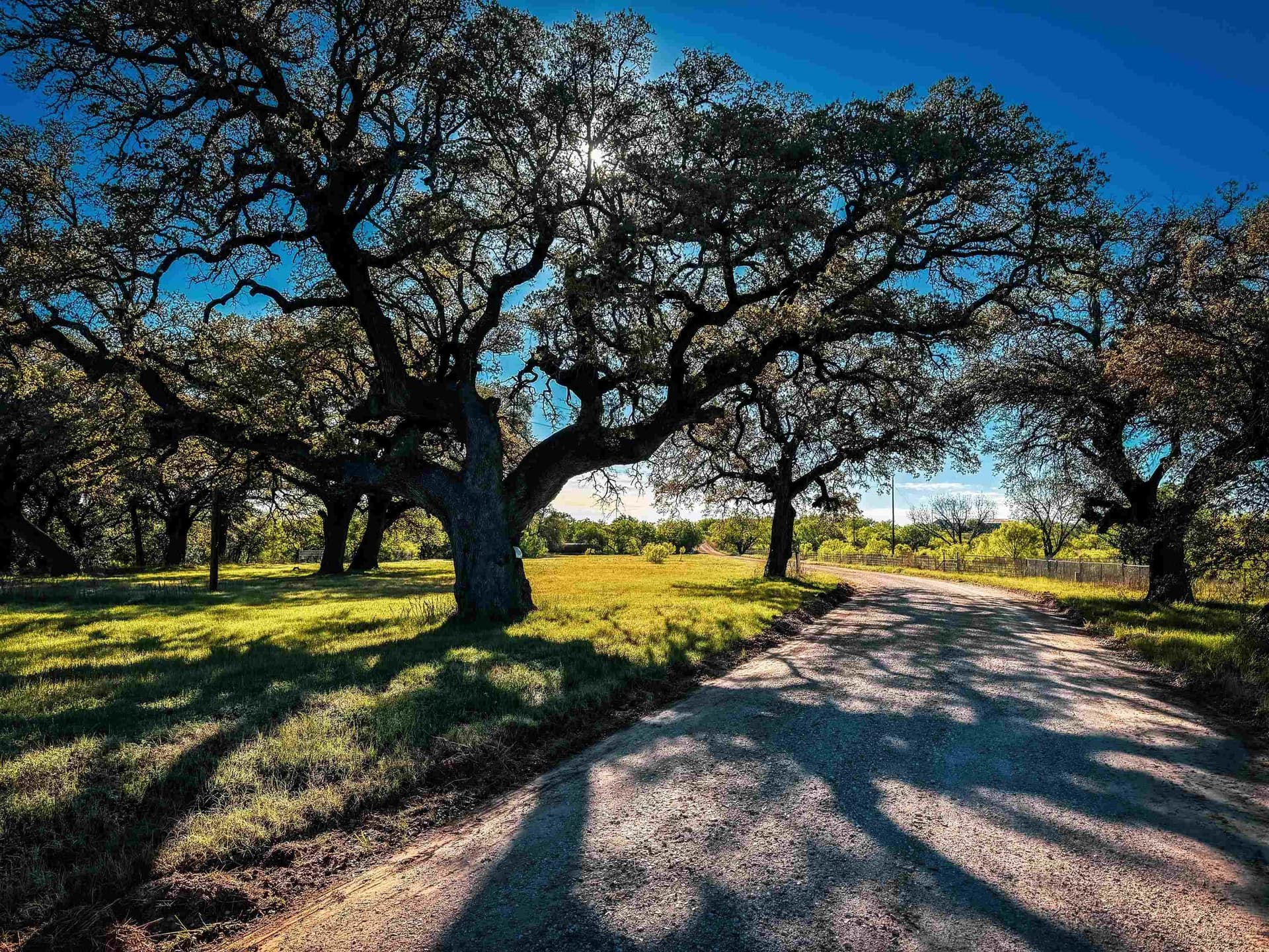 133.27 acres in San Saba County - photo 12