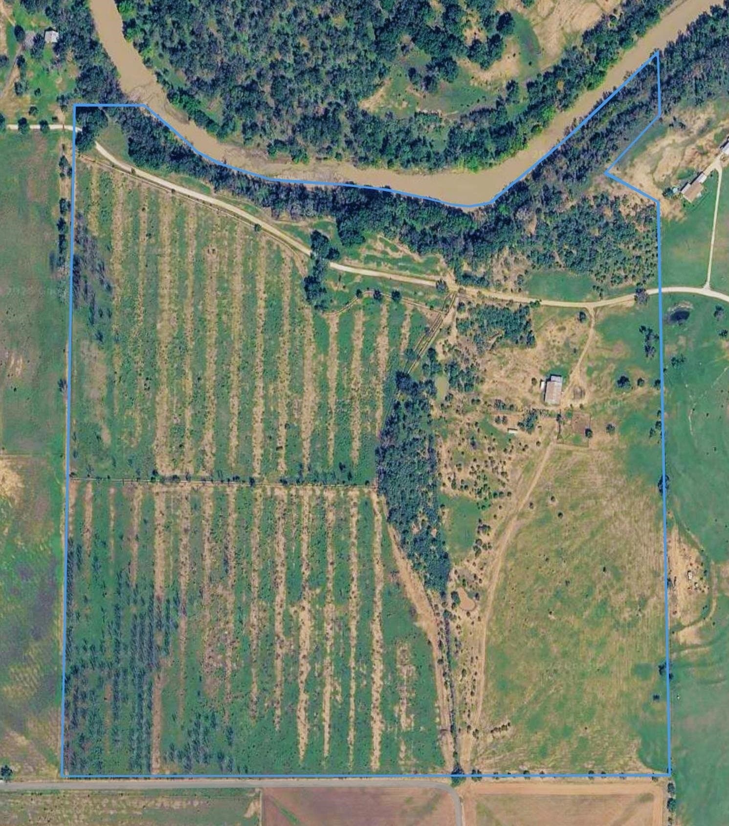 133.27 acres in San Saba County - photo 13