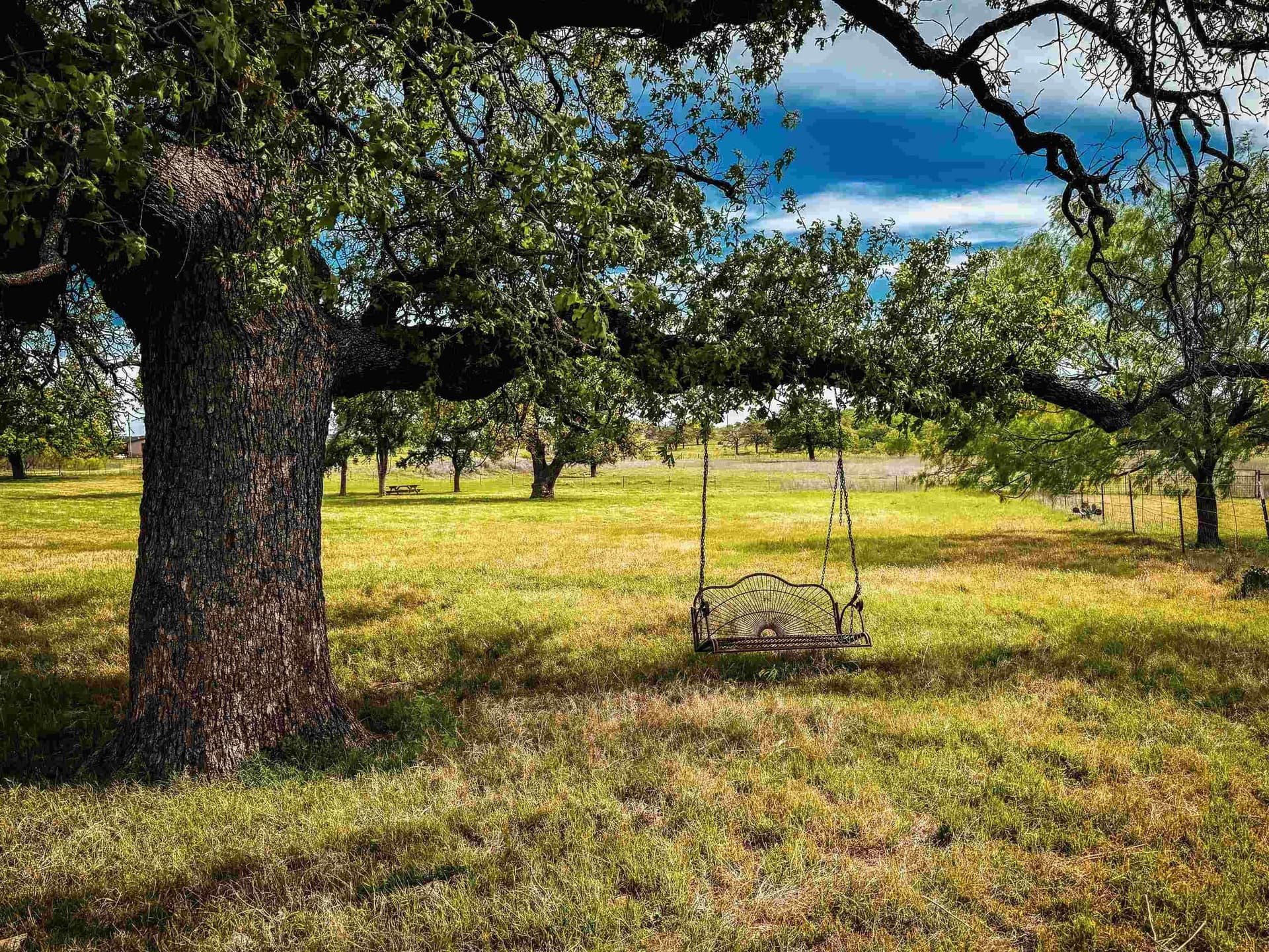 133.27 acres in San Saba County - photo 42