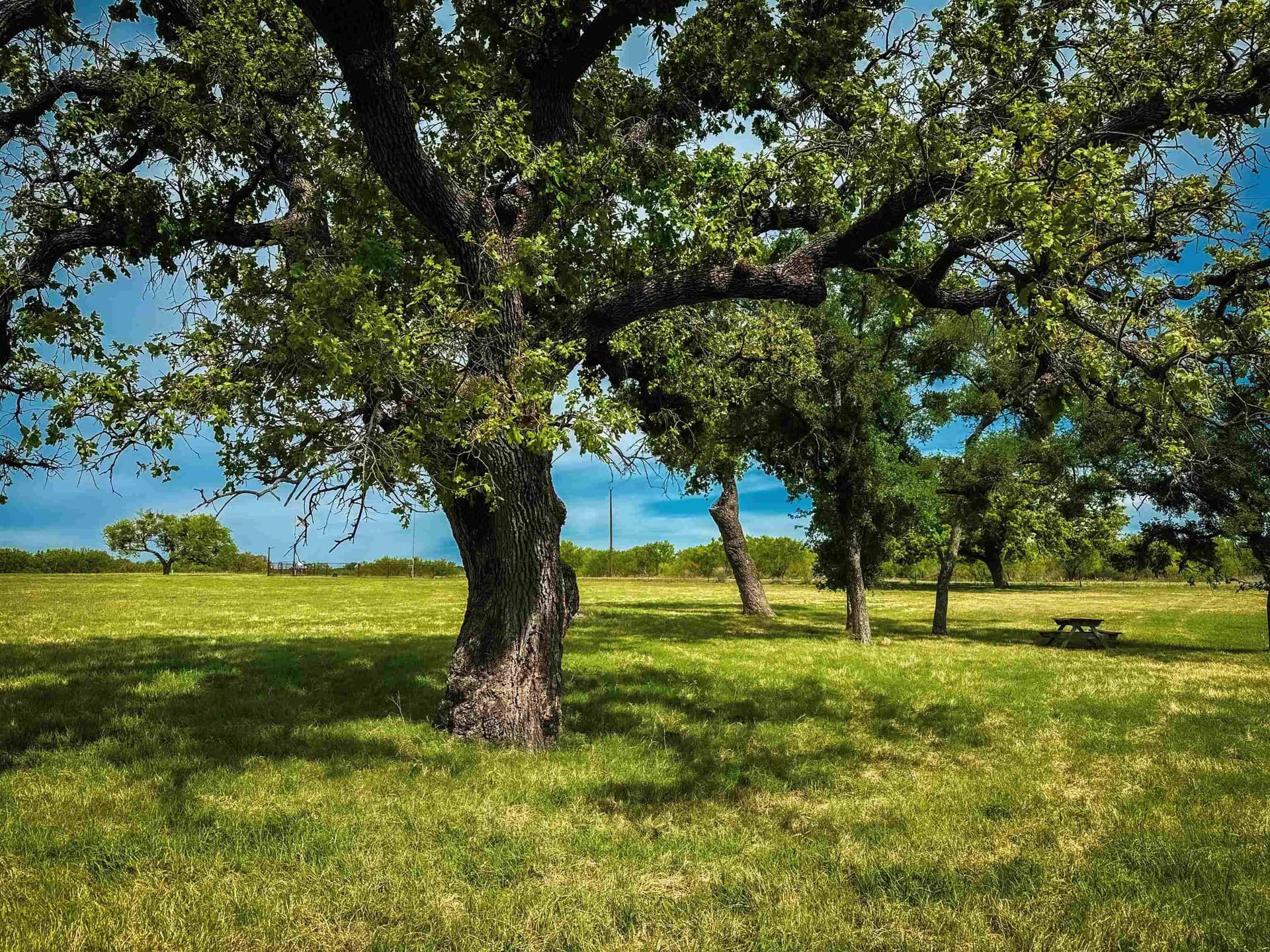 133.27 acres in San Saba County - photo 41