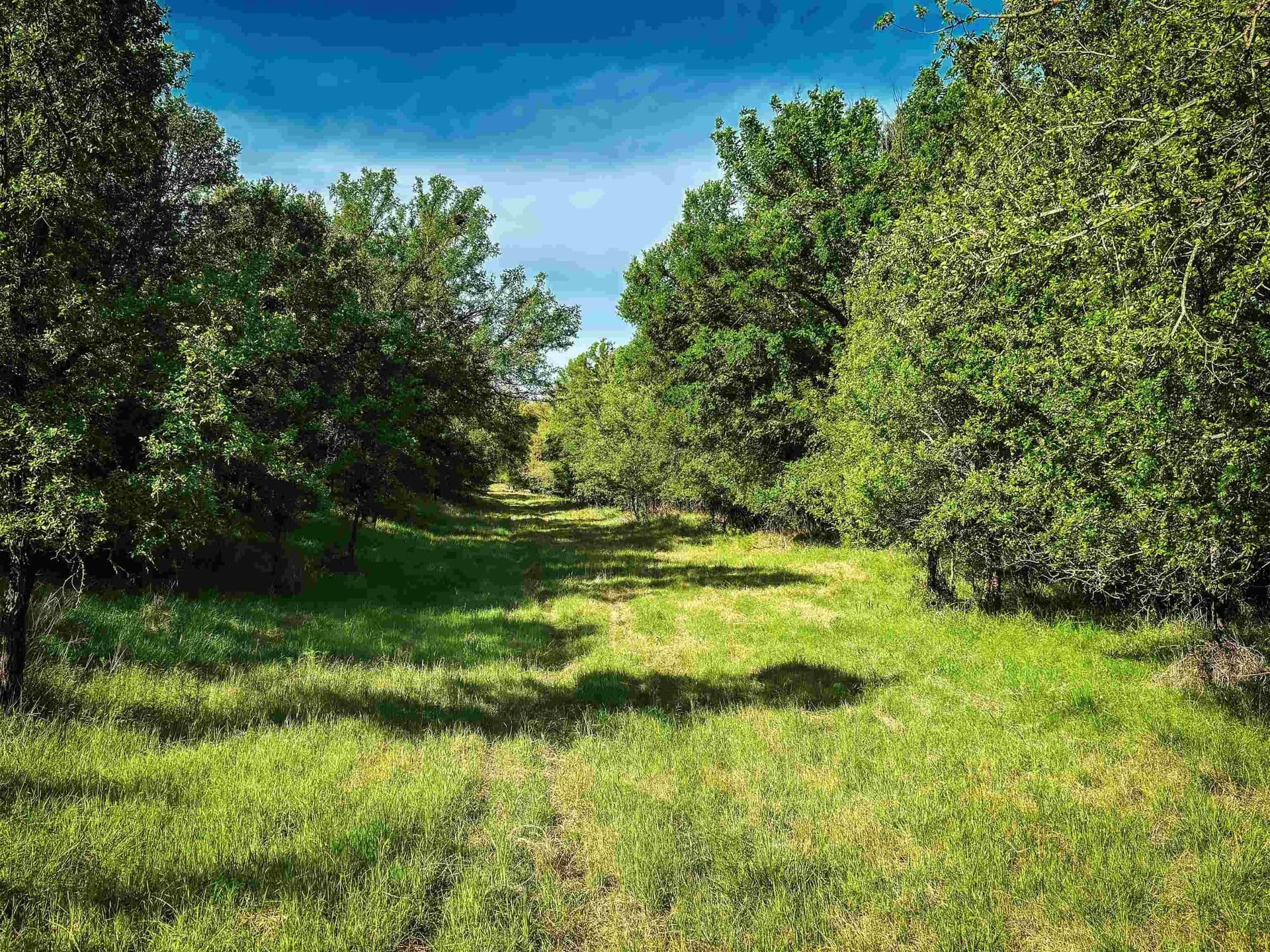 133.27 acres in San Saba County - photo 8