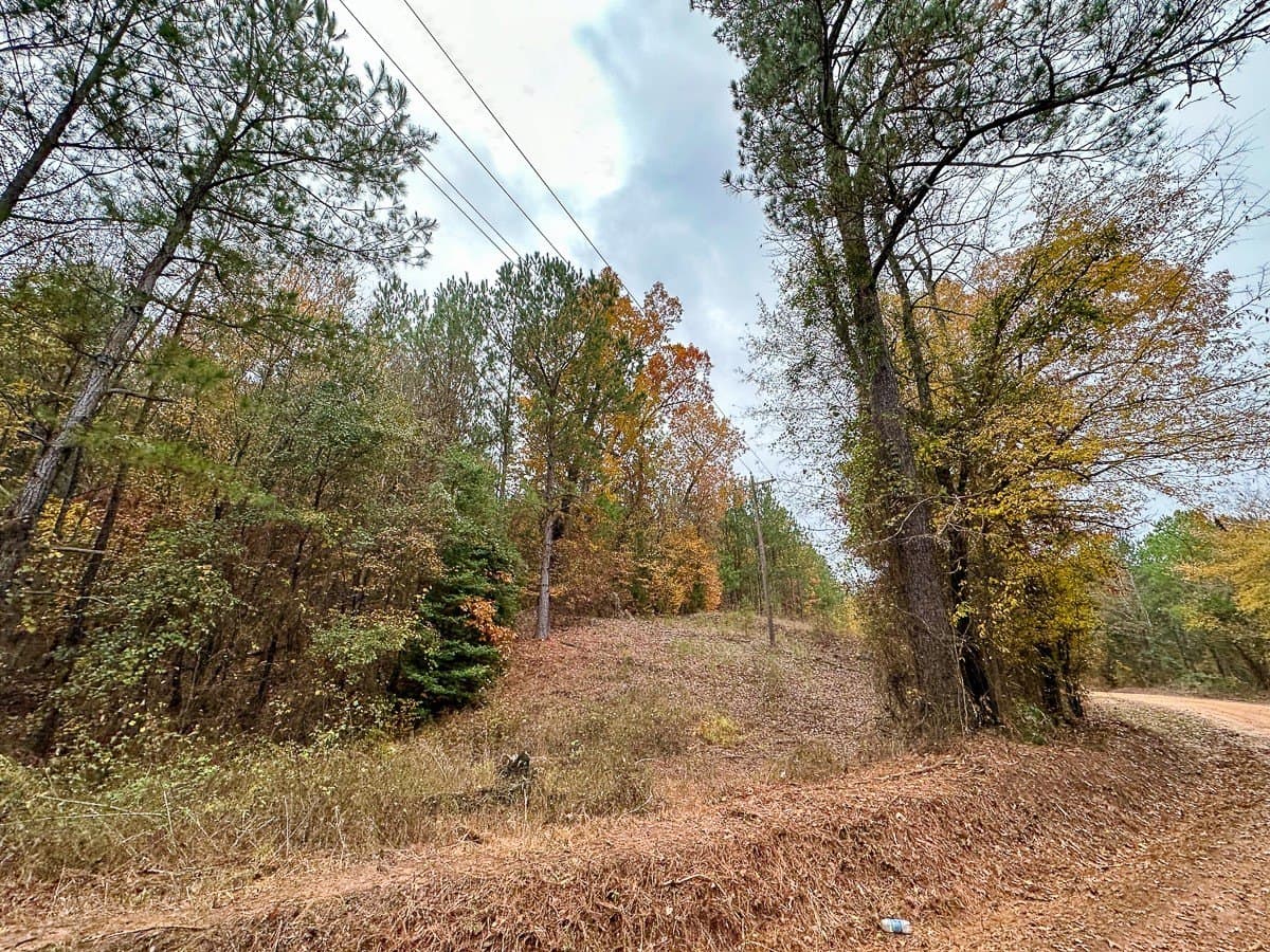 17.13 acres in Marion County - photo 11