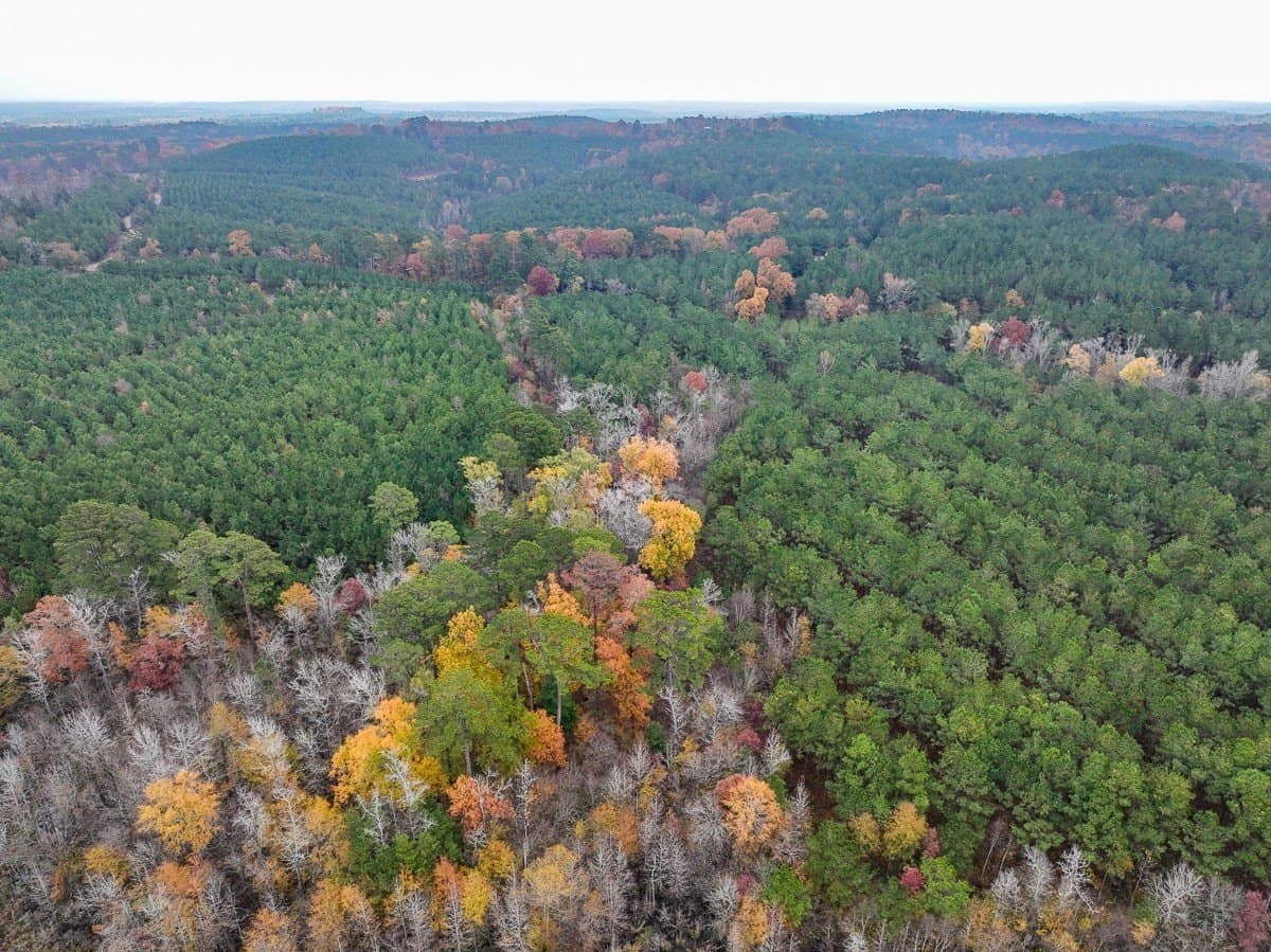 17.13 acres in Marion County - photo 21