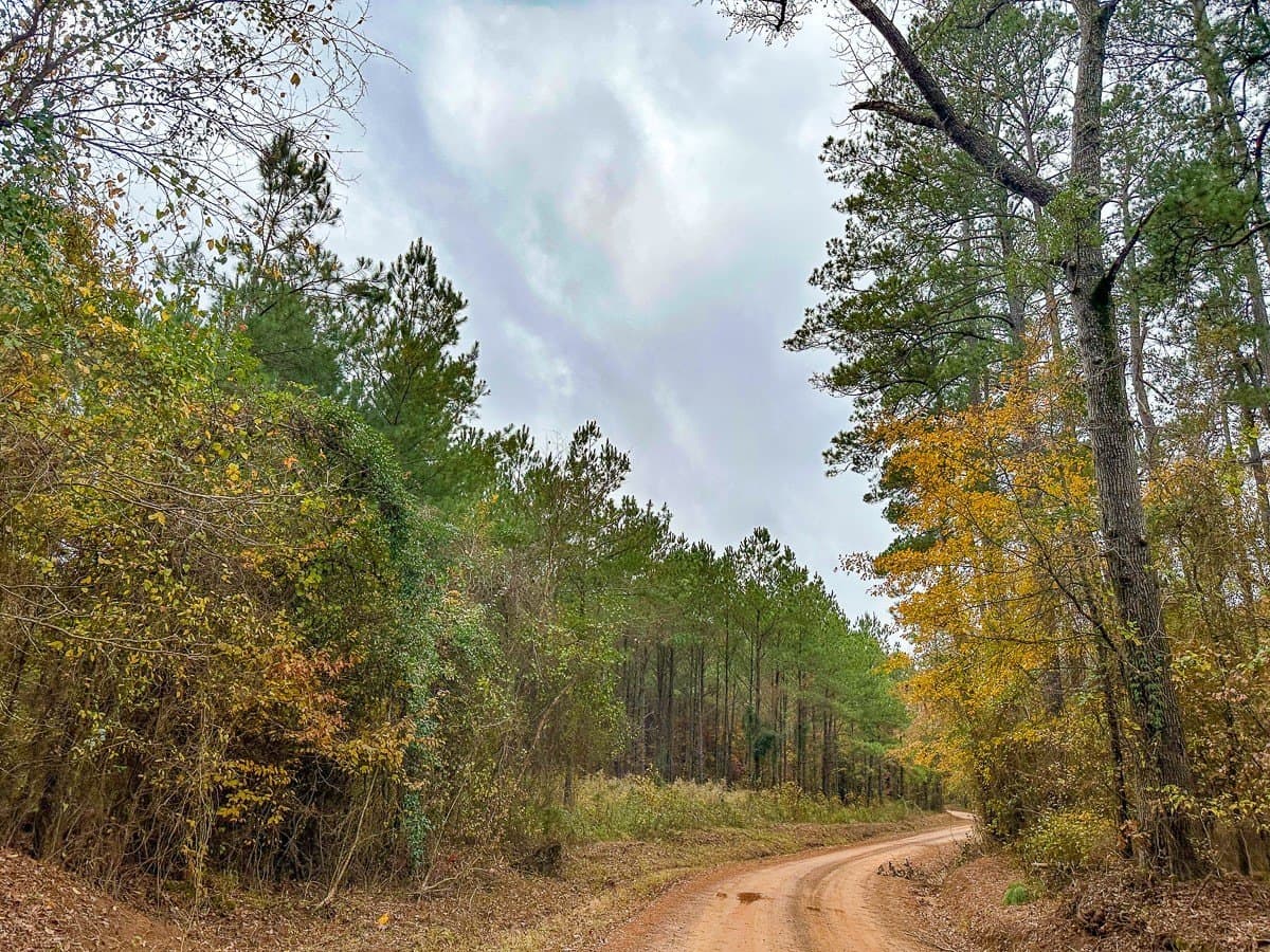 17.13 acres in Marion County - photo 7