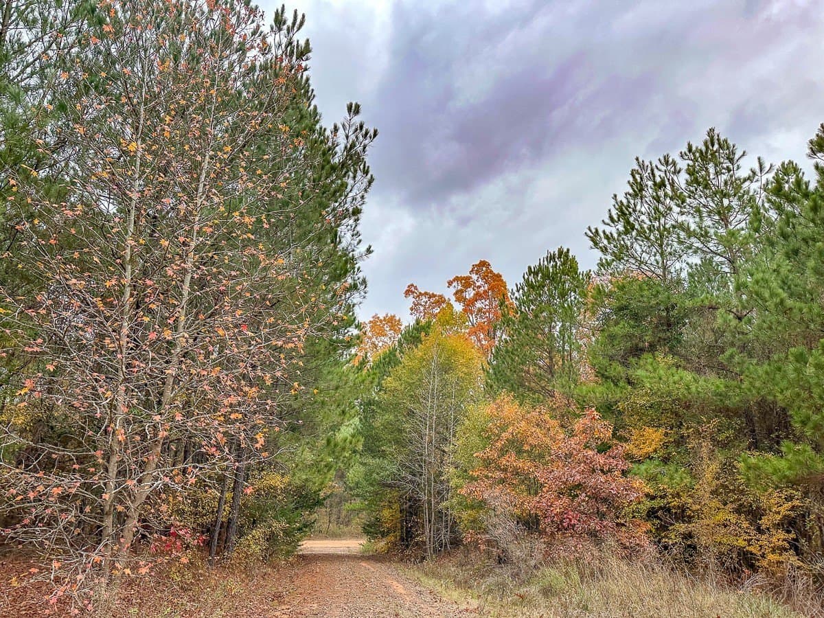 17.13 acres in Marion County - photo 22