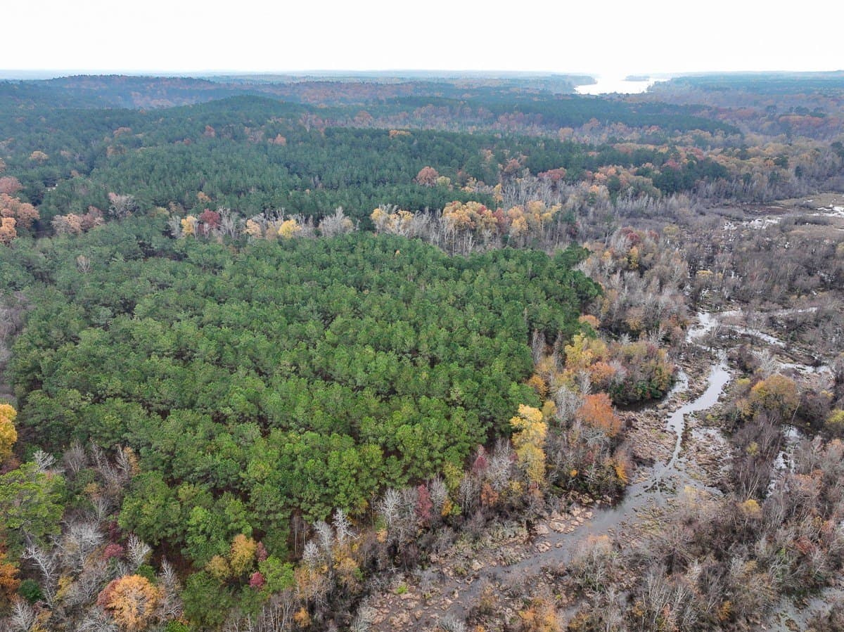17.13 acres in Marion County - photo 20