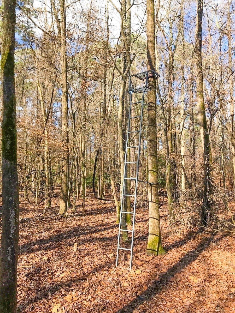 17.13 acres in Marion County - photo 5