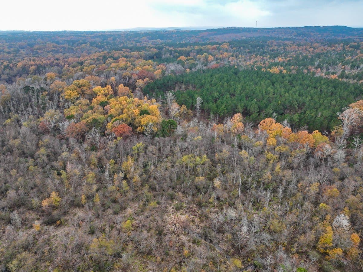 17.13 acres in Marion County - photo 18