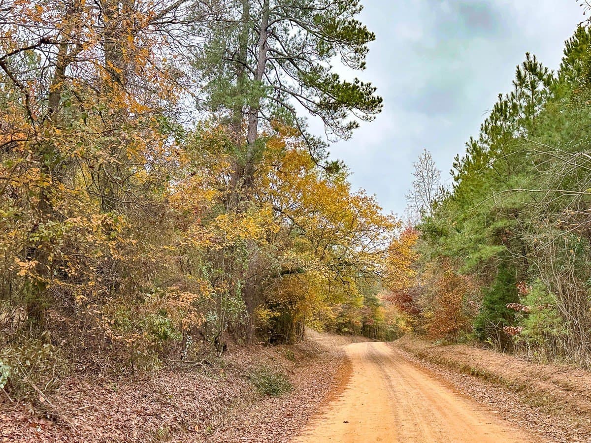 17.13 acres in Marion County - photo 12