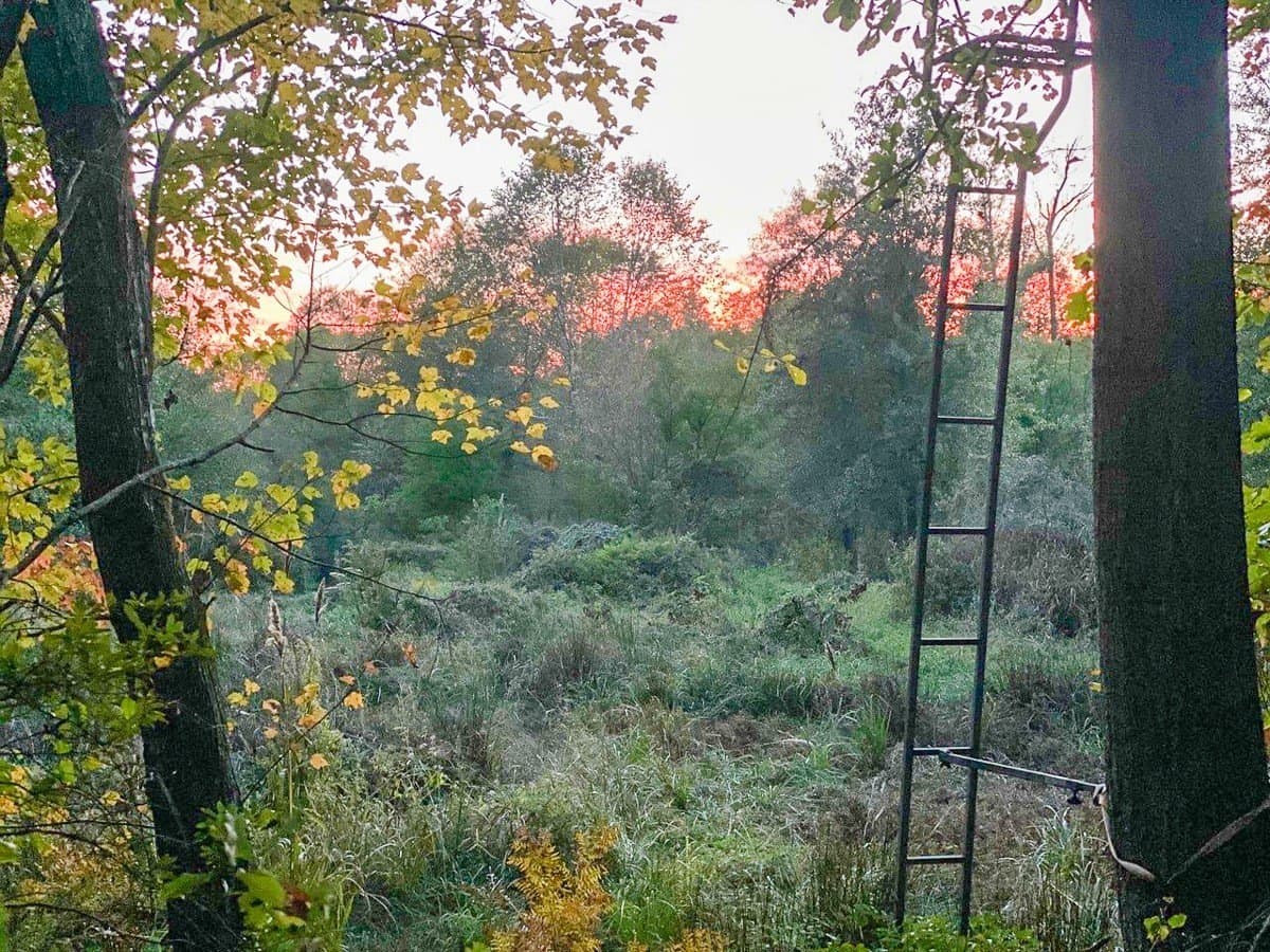 17.13 acres in Marion County - photo 4