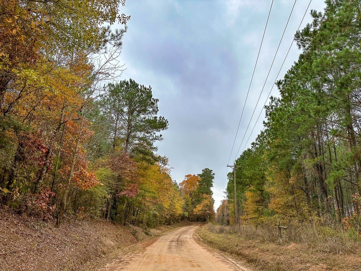 17.13 acres in Marion County - photo 13