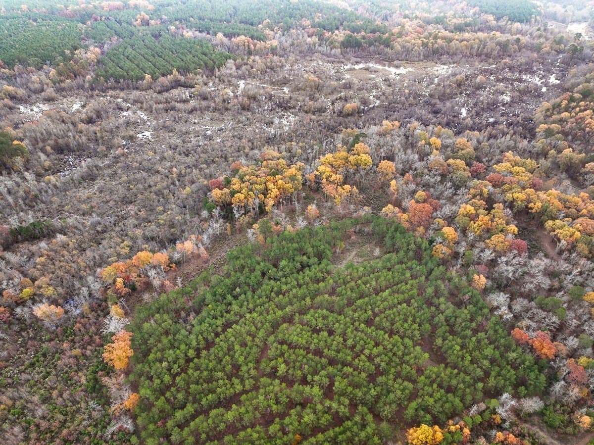 17.13 acres in Marion County - photo 17
