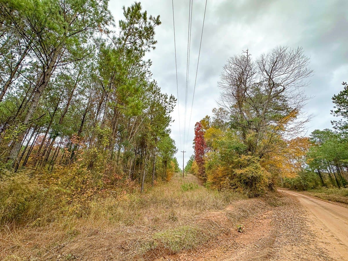 17.13 acres in Marion County - photo 24
