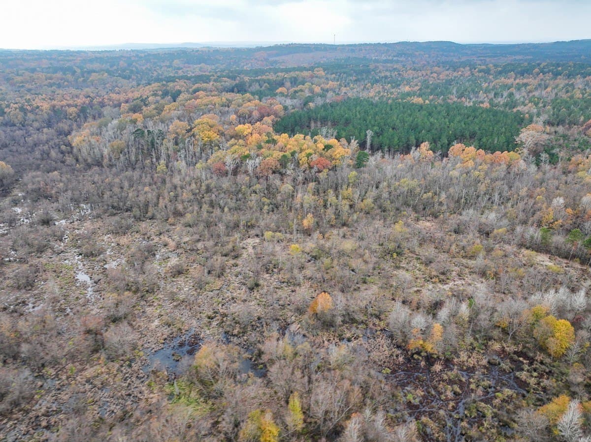 17.13 acres in Marion County - photo 19
