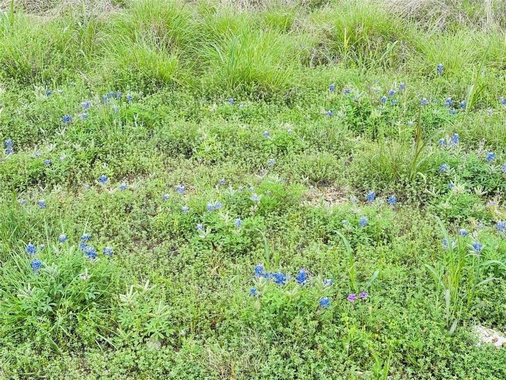 0.18 acres in Johnson County gallery image 3