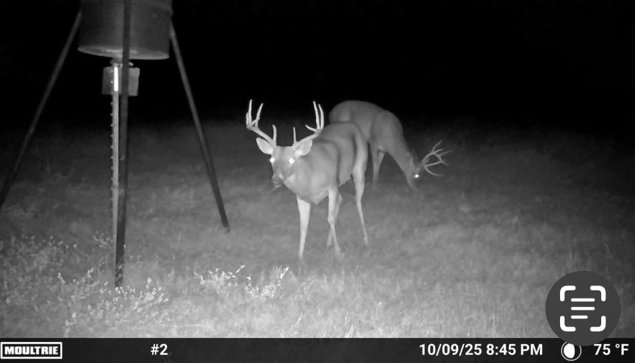 20 acres in Van Zandt County - photo 14