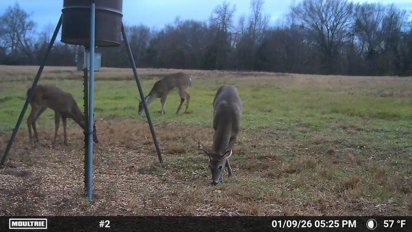 20 acres in Van Zandt County - photo 13