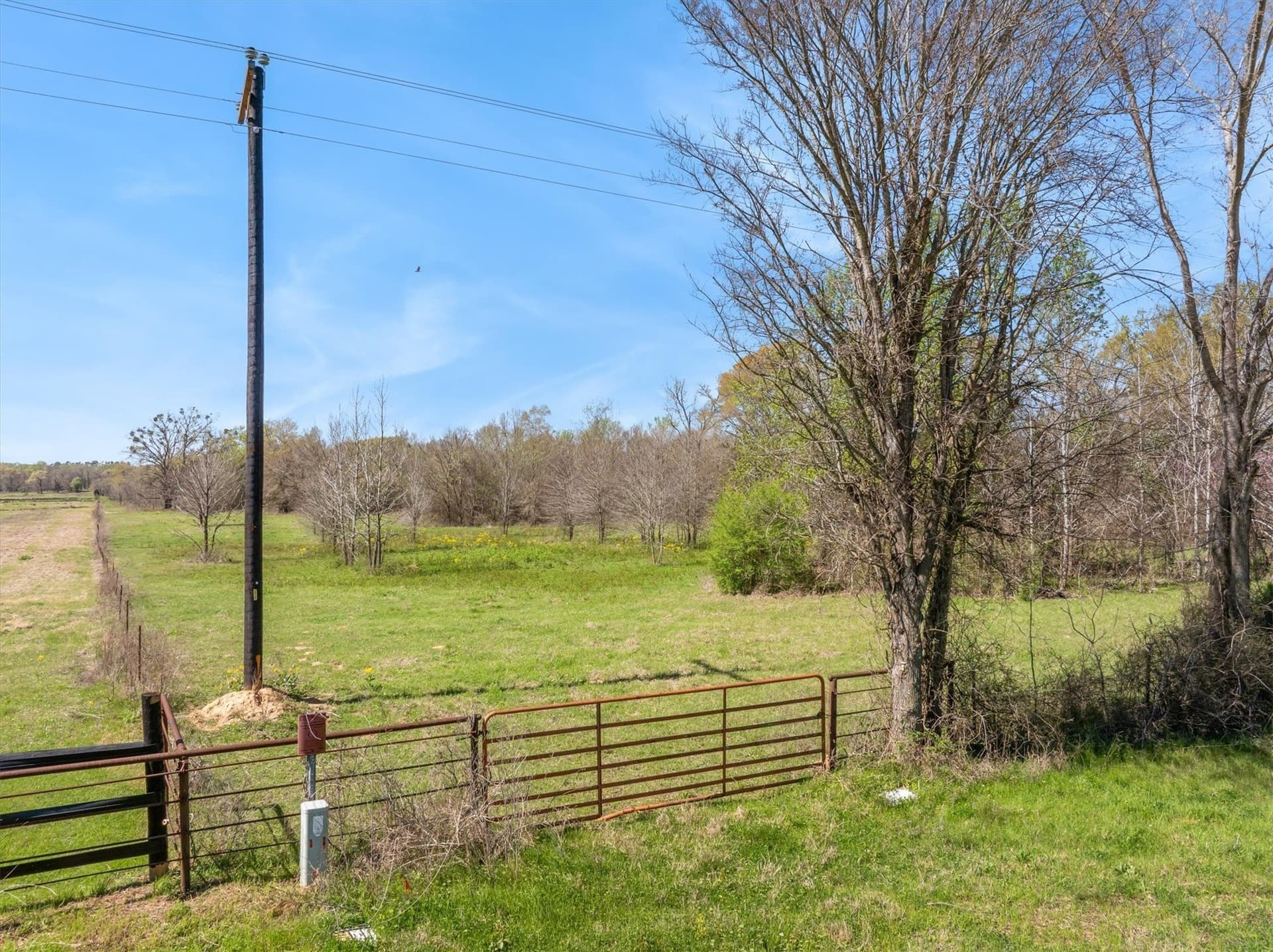 20 acres in Van Zandt County gallery image 3