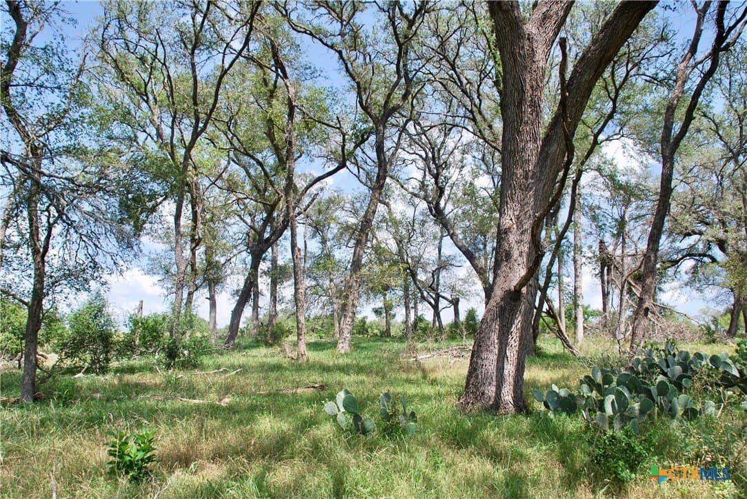 32.16 acres in Guadalupe County - photo 40