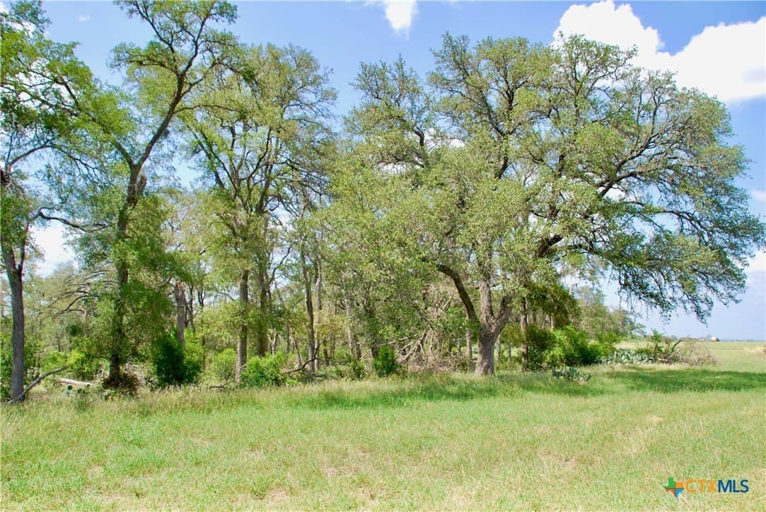 32.16 acres in Guadalupe County - photo 39