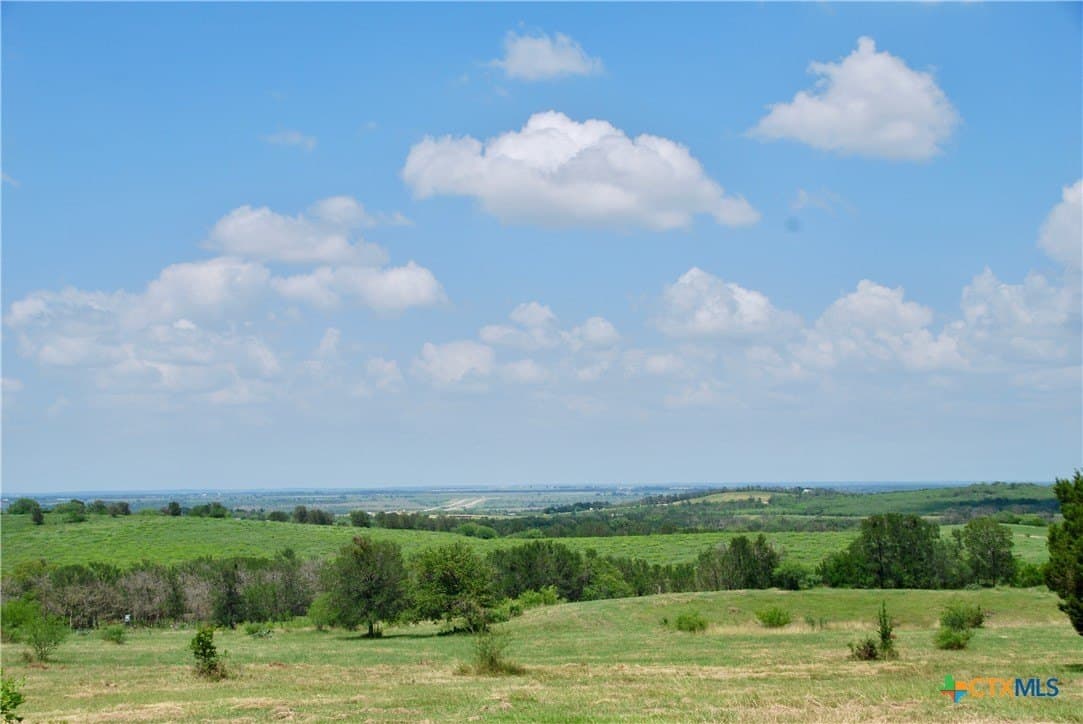 32.16 acres in Guadalupe County gallery image 2