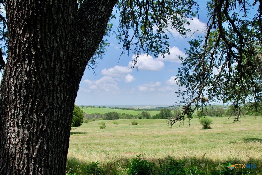 32.16 acres in Guadalupe County - photo 27