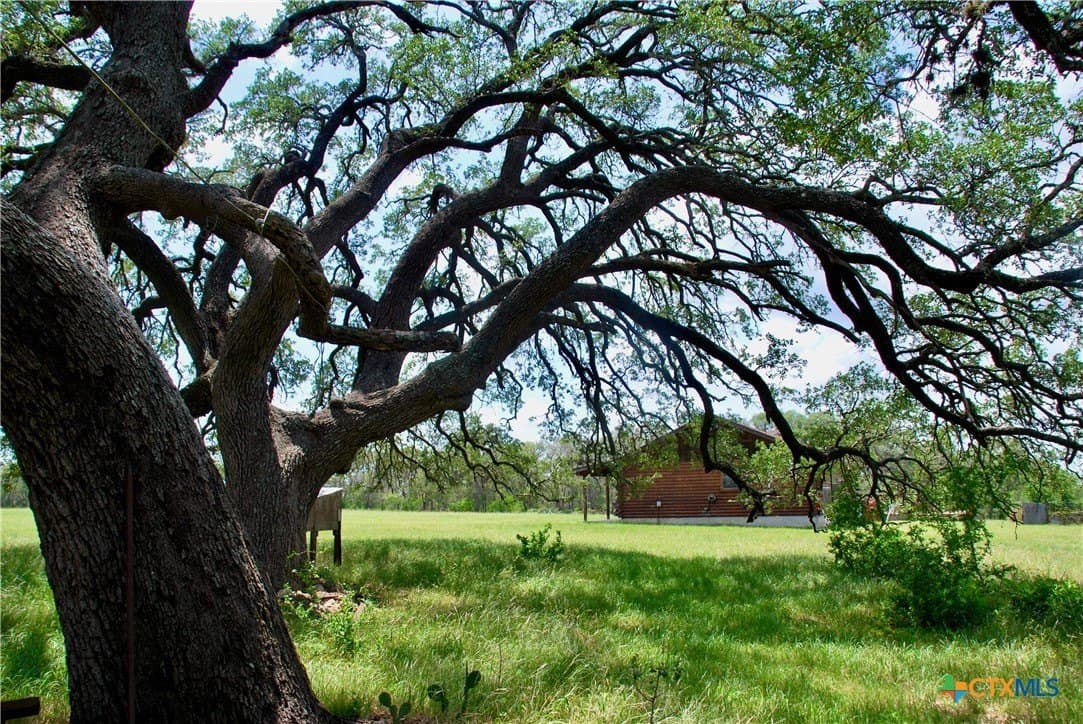 32.16 acres in Guadalupe County - photo 26
