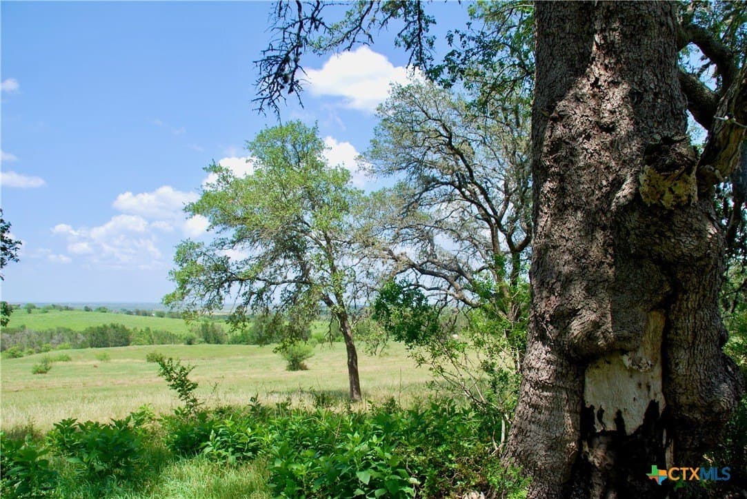 32.16 acres in Guadalupe County - photo 28
