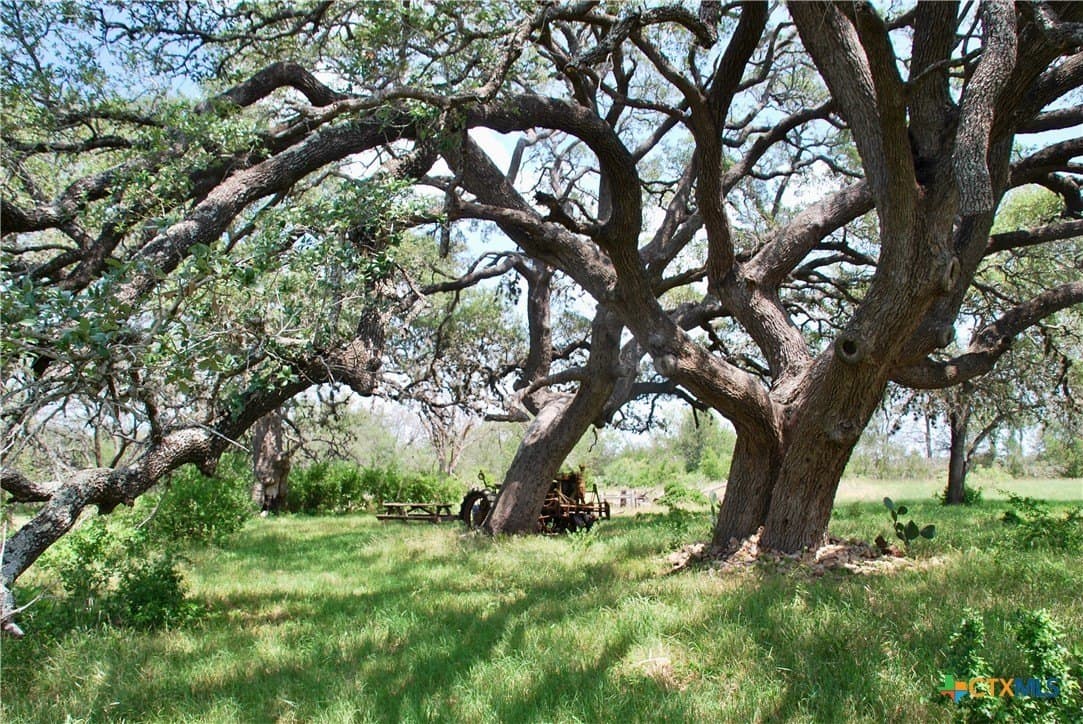 32.16 acres in Guadalupe County - photo 25