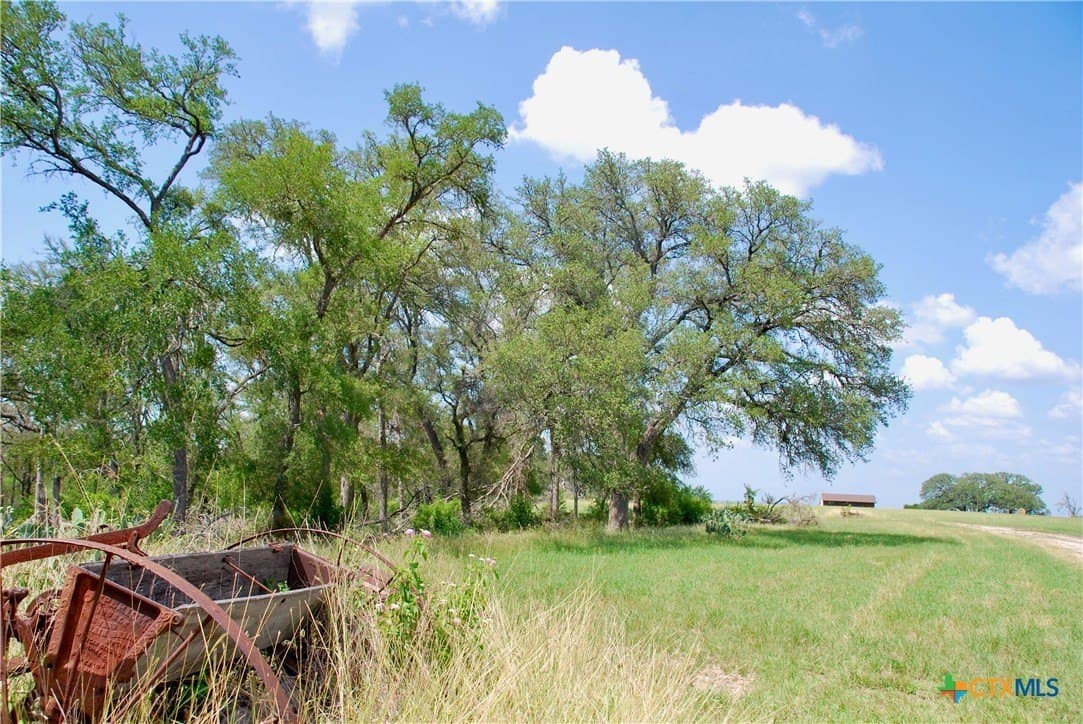 32.16 acres in Guadalupe County - photo 44