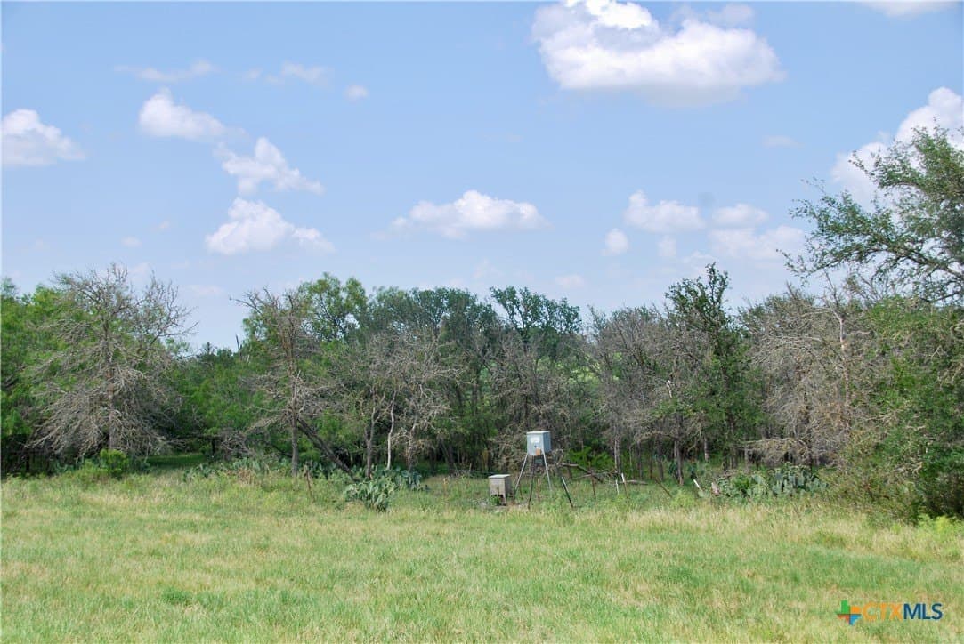 32.16 acres in Guadalupe County - photo 34