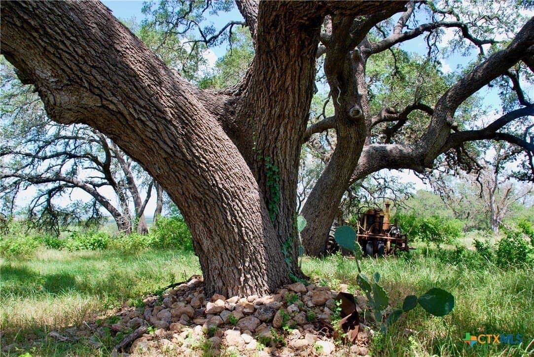 32.16 acres in Guadalupe County - photo 24