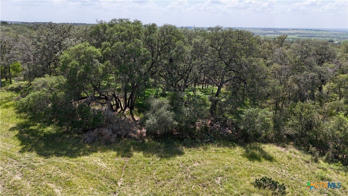 32.16 acres in Guadalupe County - photo 41