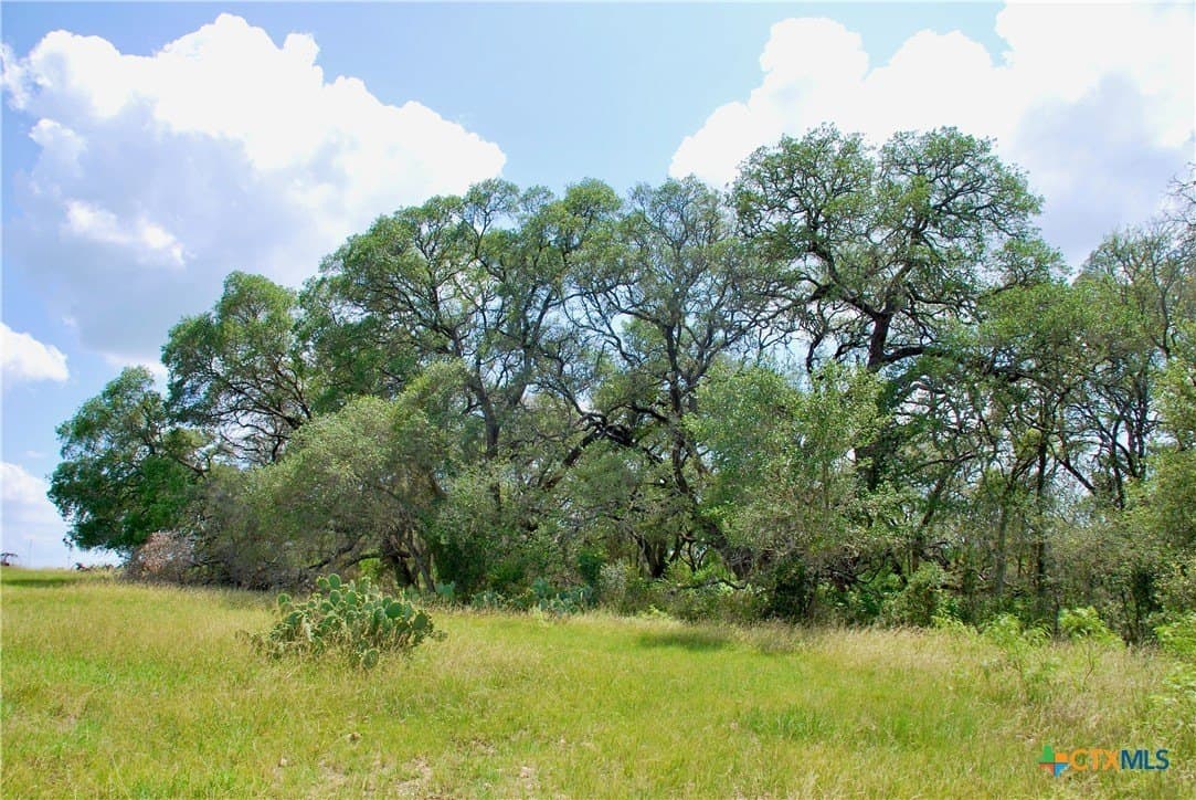 32.16 acres in Guadalupe County - photo 36
