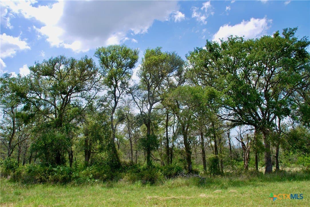 32.16 acres in Guadalupe County - photo 38