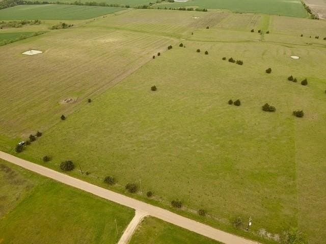 13.38 acres in Lamar County gallery image 3