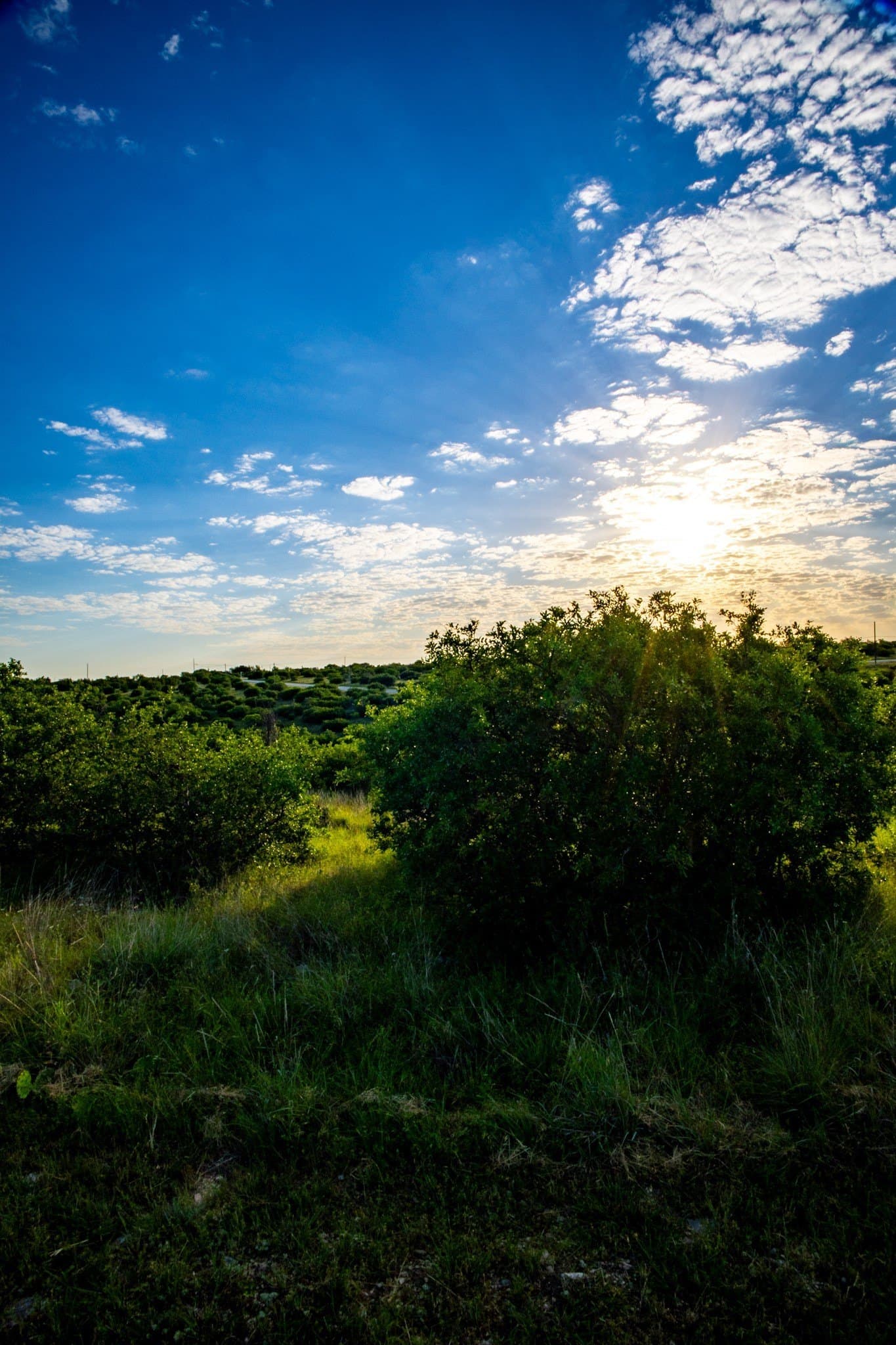 0.16 acres in Palo Pinto County - photo 7