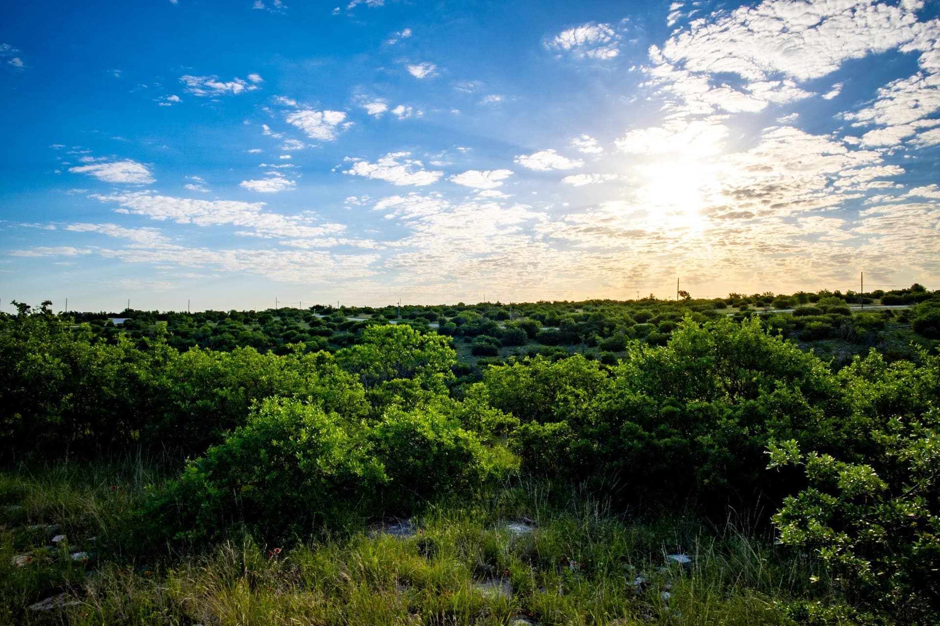 0.16 acres in Palo Pinto County gallery image 2