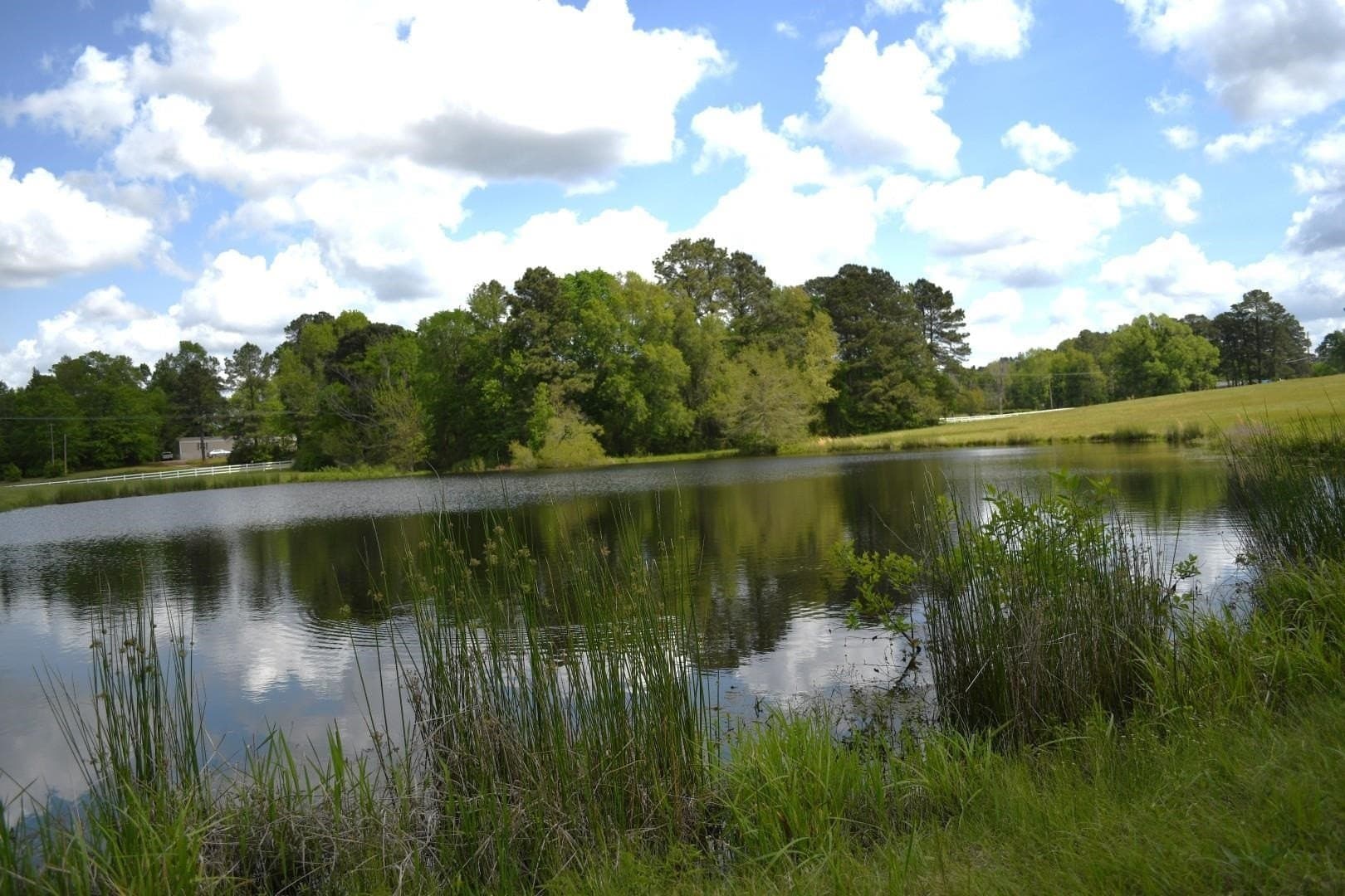 18.62 acres in Harrison County gallery image 3