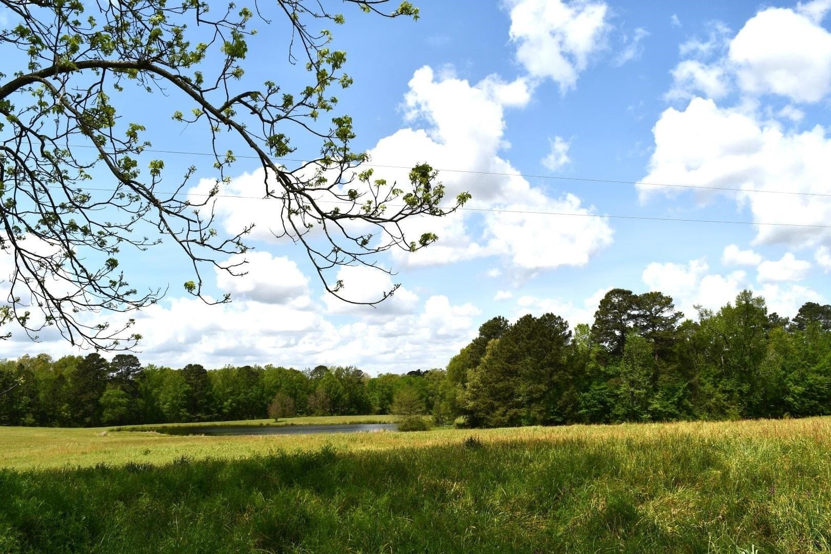 18.62 acres in Harrison County gallery image 4