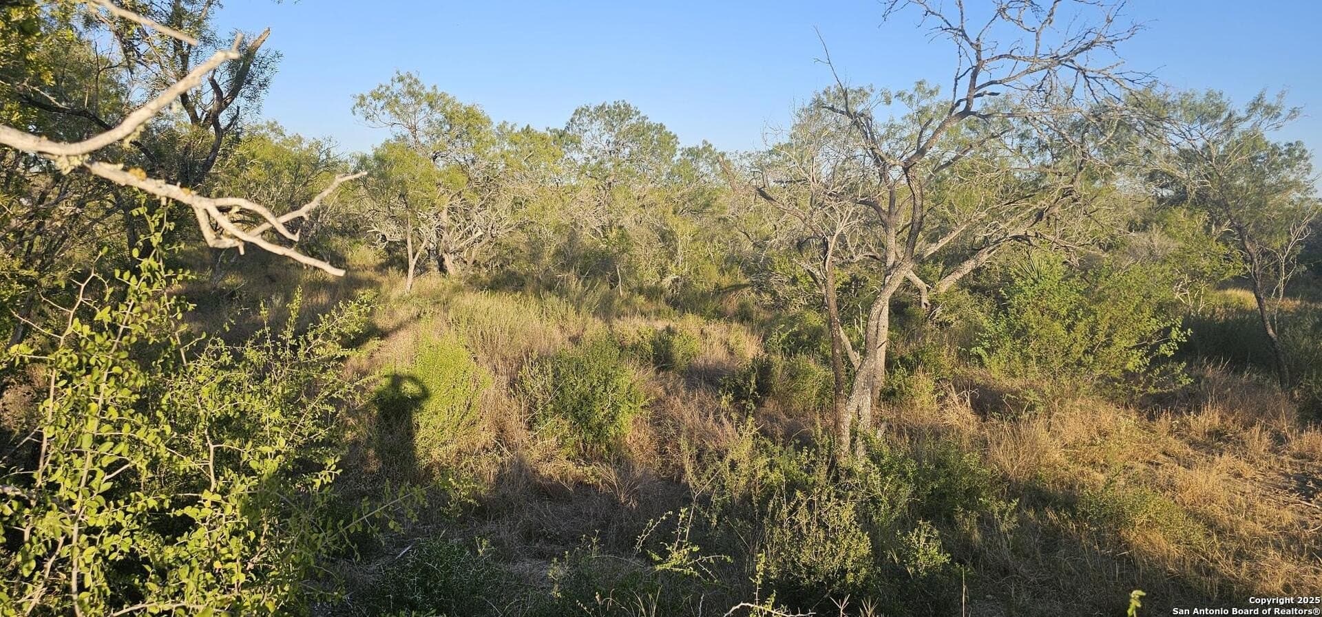 1.28 acres in Atascosa County - photo 10