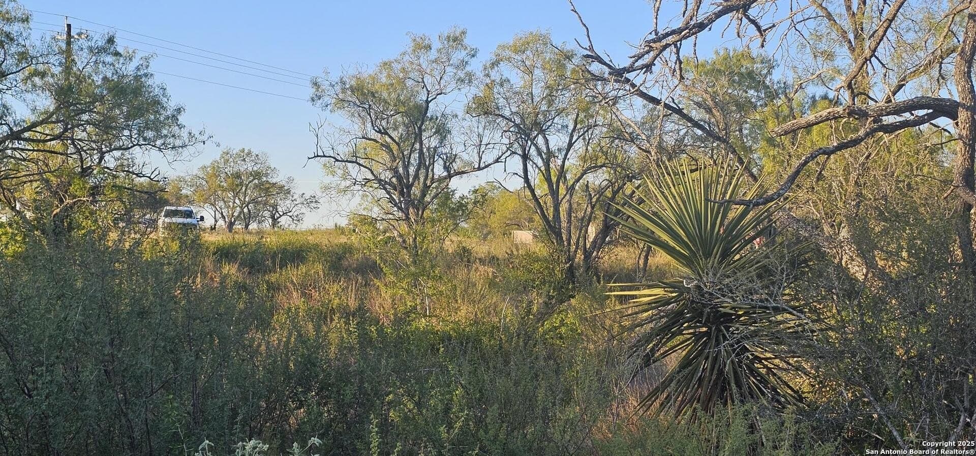 1.28 acres in Atascosa County - photo 15