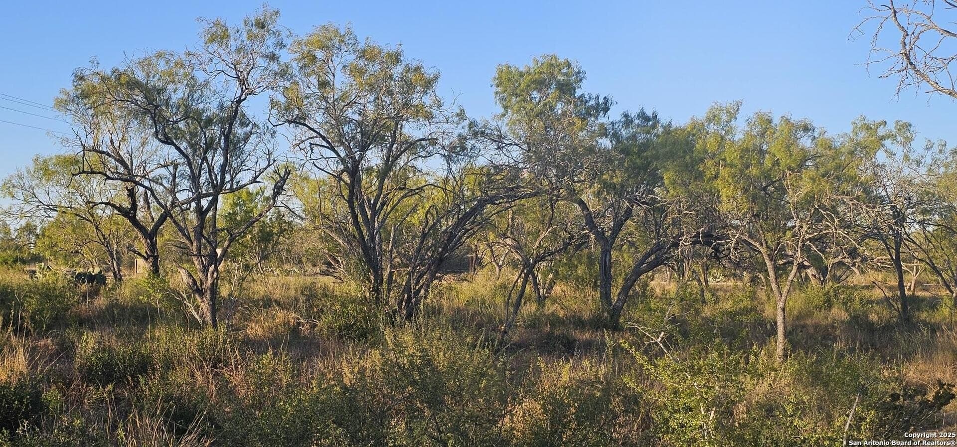 1.28 acres in Atascosa County - photo 16