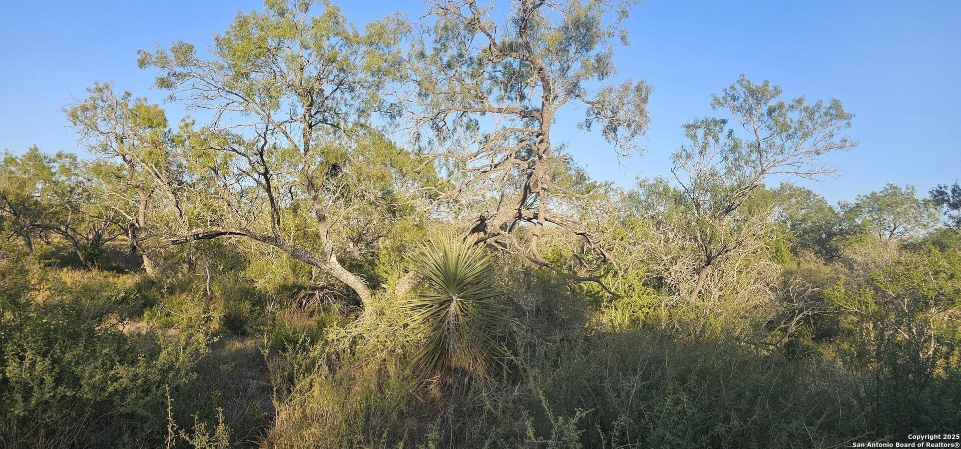 1.28 acres in Atascosa County - photo 13