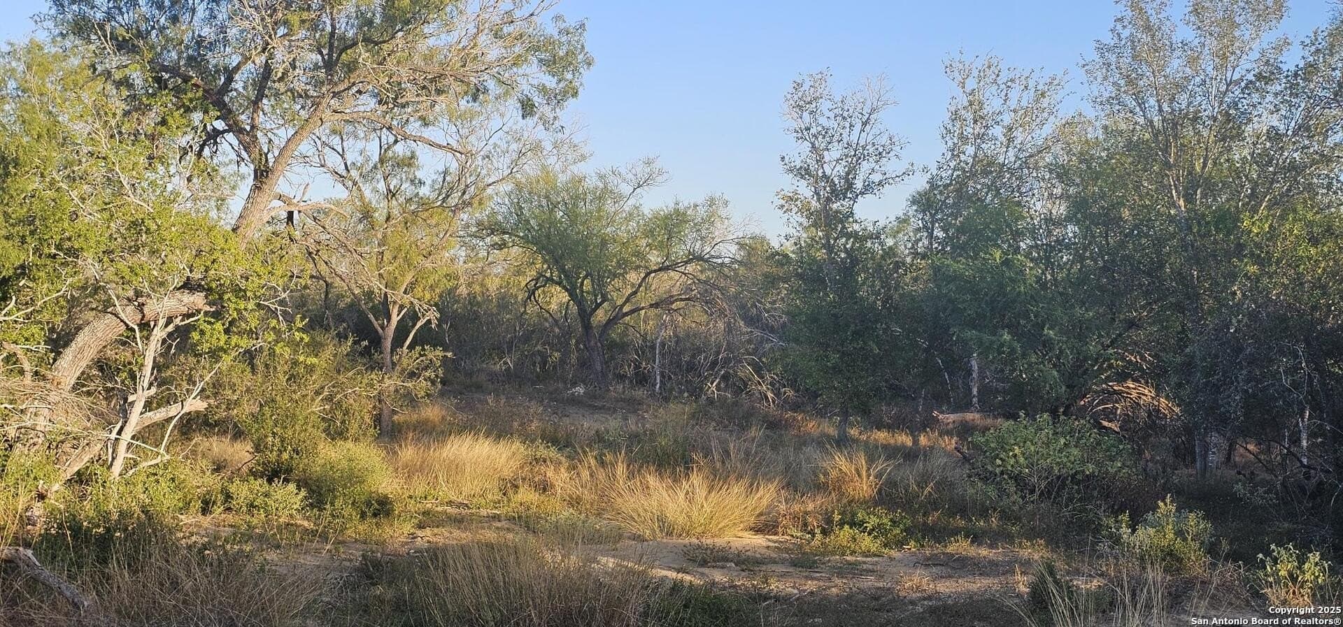 1.28 acres in Atascosa County gallery image 3