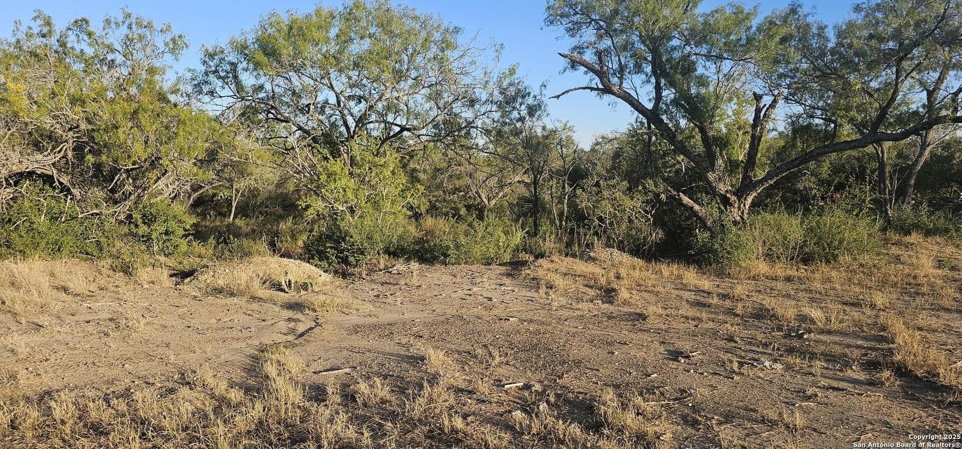 1.28 acres in Atascosa County - photo 9