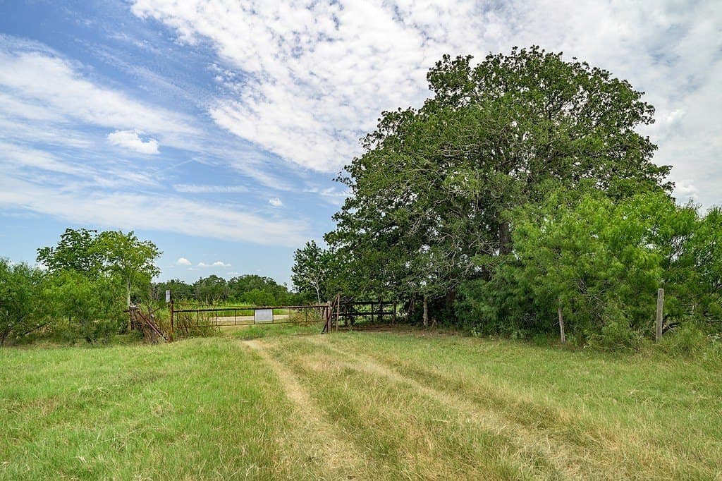 50 acres in Fayette County - photo 12